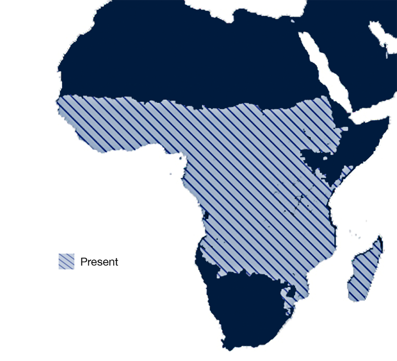 Map of Africa showing range of A. funestus