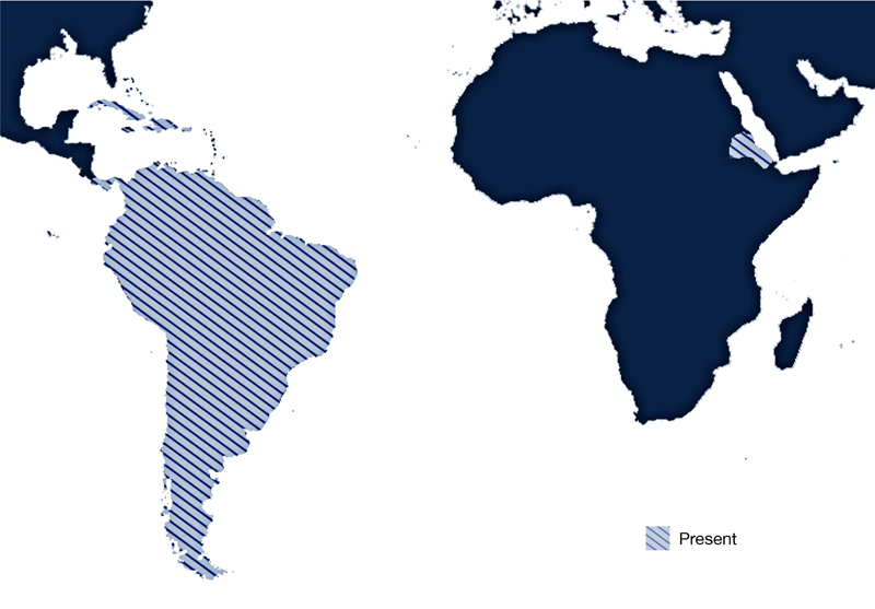 Global distribution of Cochliomyia hominivorax