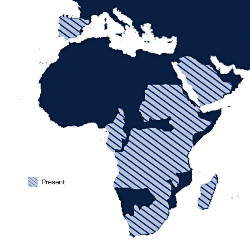 Map of Africa showing range of Trioza eryteae